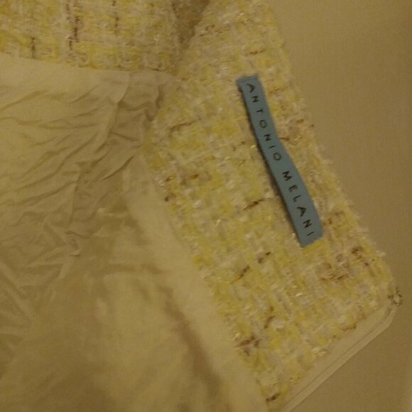 Antonio Melani Paris Metallic Yellow Tweed A-Line Skirt | Size 8 - Picture 6 of 7